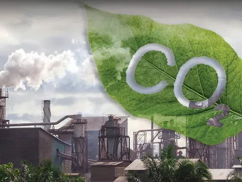 Việt Nam hướng tới tín chỉ carbon chất lượng, thúc đẩy tăng trưởng xanh