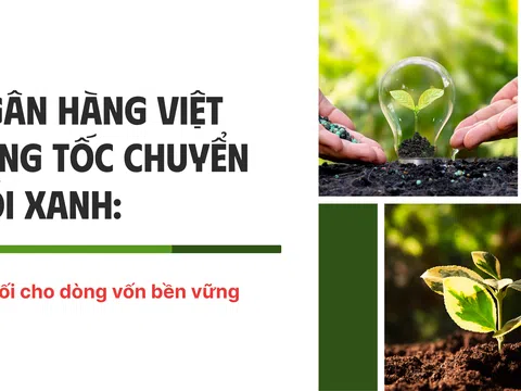 [Emagazine] Ngân hàng Việt tăng tốc chuyển đổi xanh, mở lối cho dòng vốn bền vững