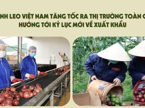 [eMagazine] Chanh leo Việt Nam tăng tốc ra thị trường toàn cầu, hướng tới kỷ lục mới về xuất khẩu