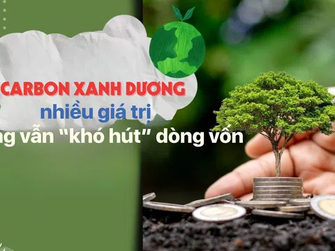 [eMagazine] Carbon xanh dương nhiều giá trị nhưng vẫn “khó hút” dòng vốn