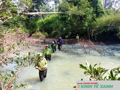 Đắk Lắk: Siết chặt quản lý, lập lại trật tự trong sử dụng đất và bảo vệ rừng