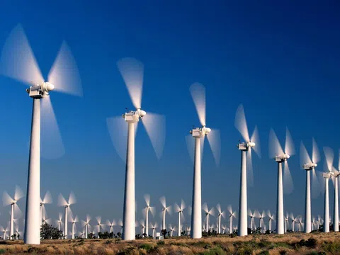 Nhà máy Điện gió Cầu đất chiếm gần 100.000 mét vuông đất nông nghiệp