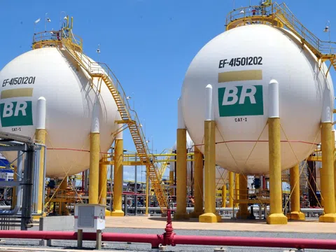 Petrobras cân nhắc tăng giá nhiên liệu bất chấp áp lực từ Chính phủ Brazil