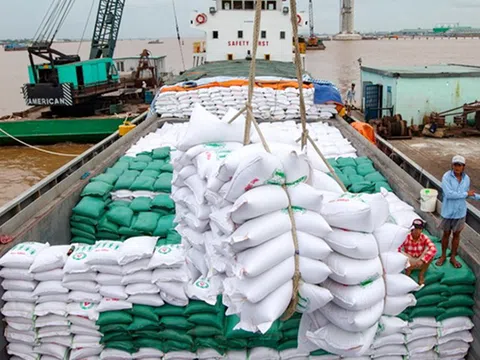 Xuất khẩu gạo xuất hiện nhiều tín hiệu tích cực