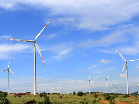 EVN tạo thuận lợi cho các nhà máy điện gió kịp công nhận vận hành thương mại