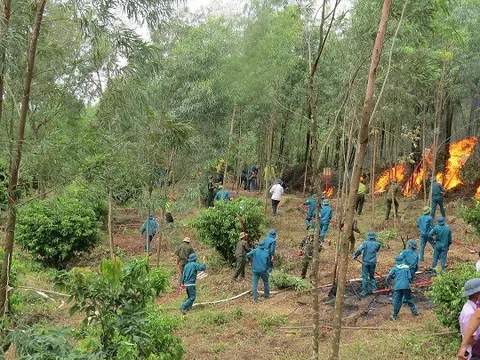 Bắc Giang phòng cháy, chữa cháy rừng mùa khô