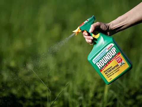 Cảnh báo nông dân không sử dụng thuốc bảo vệ thực vật chứa hoạt chất Glyphosate