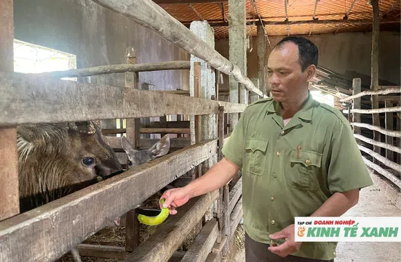 Làng Tiên Đội khởi sắc nhờ nghề nuôi hươu, nai