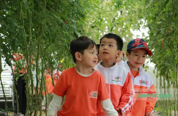 Chạm tay vào nông nghiệp sạch: Khi vườn dâu trở thành lớp học