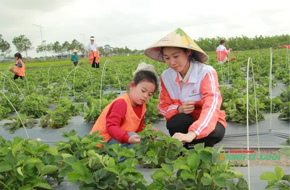 Khi công nghệ mở đường cho nông nghiệp xanh