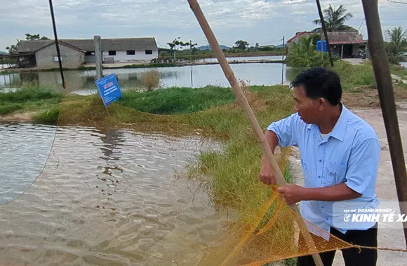 Người đàn ông đi trước thị trường gần ba thập kỷ