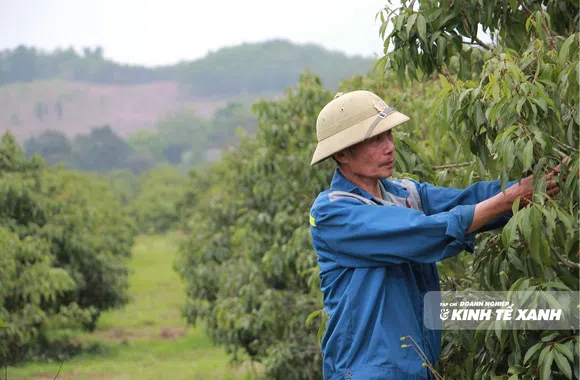 Mỗi vùng trồng một "tấm căn cước"