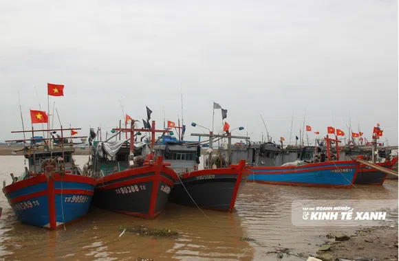 Gỡ “thẻ vàng”, học cách sống lâu với biển