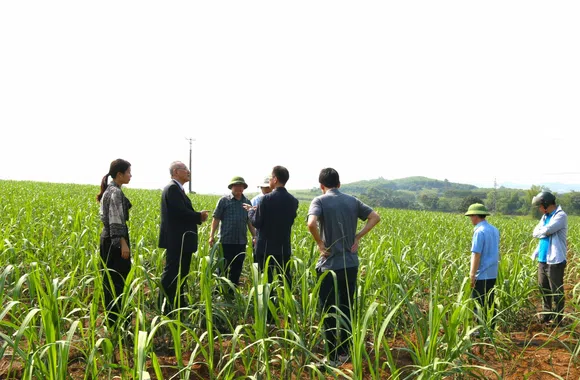 Thanh Hóa mở đường cho giá trị carbon từ đồng ruộng