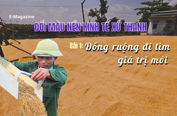 Đổi màu nền kinh tế xứ Thanh - Bài 1: Đồng ruộng đi tìm giá trị mới