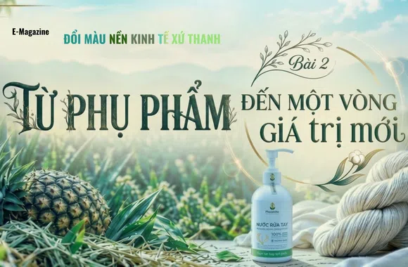 Đổi màu nền kinh tế xứ Thanh - Bài 2: Từ phụ phẩm đến một vòng giá trị mới