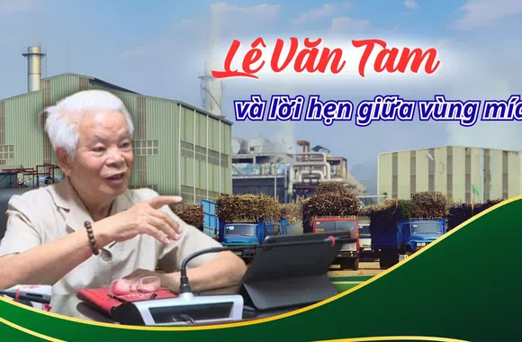 Lê Văn Tam và lời hẹn giữa vùng mía