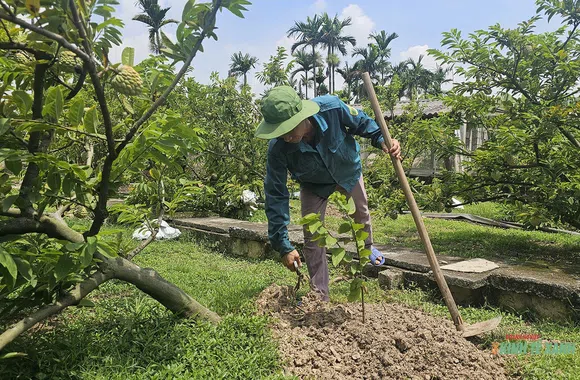 Hoa thơm, quả ngọt trên vùng đất cằn Liên Khê (Hải Phòng)