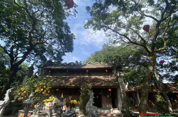 "Báu vật" xanh dưới chân đền Cao