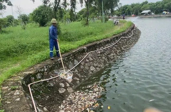 Kiểm tra, lấy mẫu xác định nguyên nhân cá chết tại hồ Bồng Sơn
