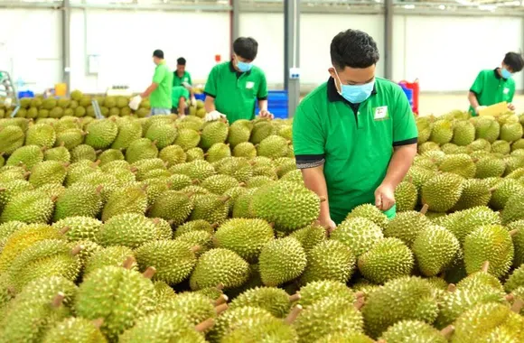 Gần 2.600 sản phẩm nông sản xuất sang Trung Quốc phải có thư xác nhận
