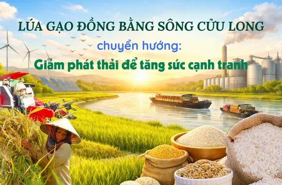 [eMagazine] Lúa gạo đồng bằng sông Cửu Long chuyển hướng: Giảm phát thải để tăng sức cạnh tranh