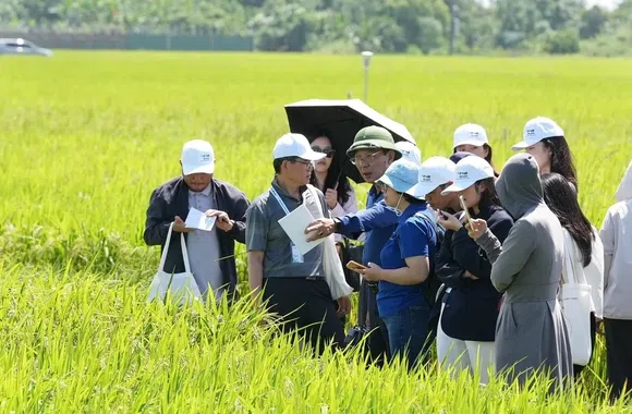 Giảm phát thải nông nghiệp: Gắn chuyển đổi xanh với lợi ích kinh tế