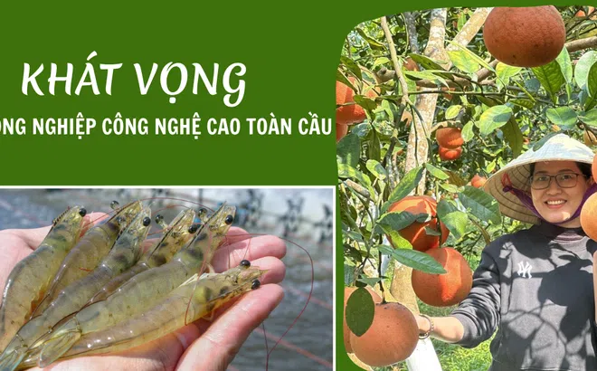 Thanh Hóa và khát vọng nông nghiệp công nghệ cao toàn cầu