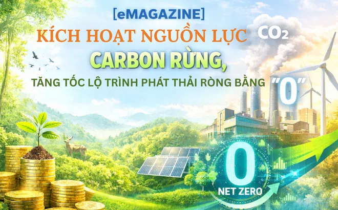 [eMagazine] Kích hoạt nguồn lực carbon rừng, tăng tốc lộ trình phát thải ròng bằng “0”