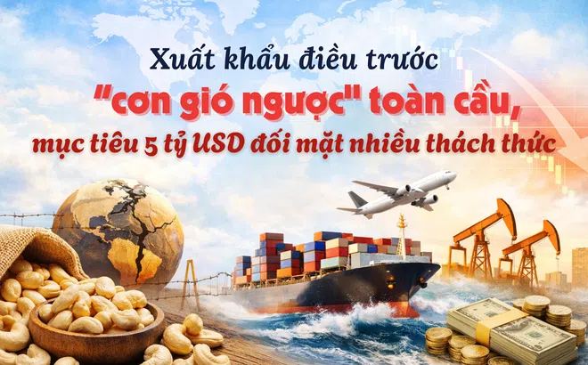 [eMagazine] Xuất khẩu điều trước “cơn gió ngược” toàn cầu, mục tiêu 5 tỷ USD đối mặt nhiều thách thức