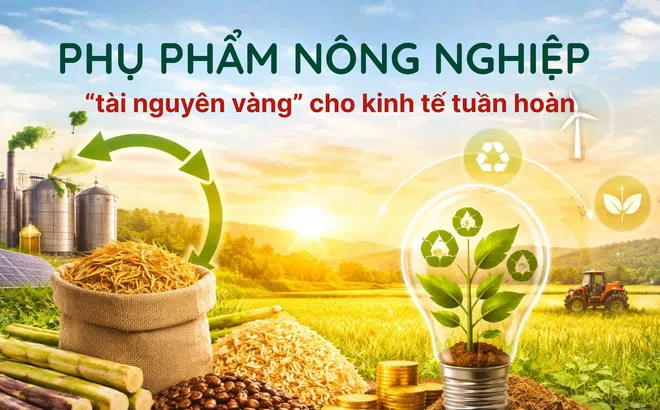 [eMagazine] Phụ phẩm nông nghiệp - “tài nguyên vàng” cho kinh tế tuần hoàn