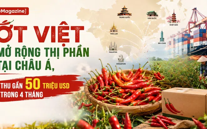 [eMagazine] Ớt Việt mở rộng thị phần tại châu Á, thu gần 50 triệu USD trong 4 tháng