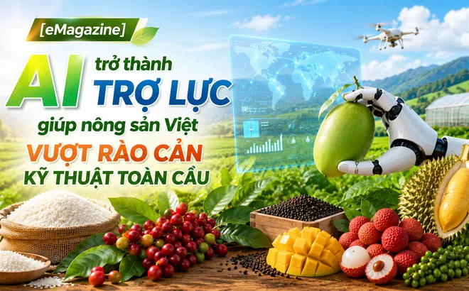 [eMagazine] AI trở thành trợ lực giúp nông sản Việt vượt rào cản kỹ thuật toàn cầu