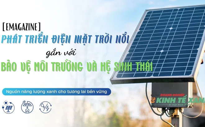 Phát triển điện mặt trời nổi gắn với bảo vệ môi trường và hệ sinh thái
