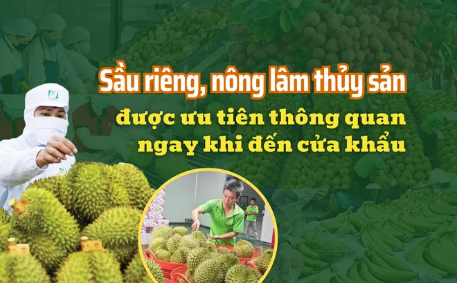 Sầu riêng, nông lâm thủy sản được ưu tiên thông quan ngay khi đến cửa khẩu