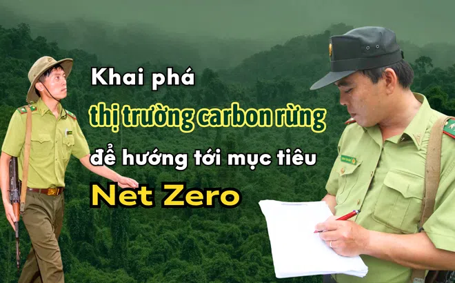 [Emagazine] Khai phá thị trường carbon rừng để hướng tới mục tiêu Net Zero