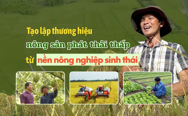 Tạo lập thương hiệu nông sản phát thải thấp từ nền nông nghiệp sinh thái