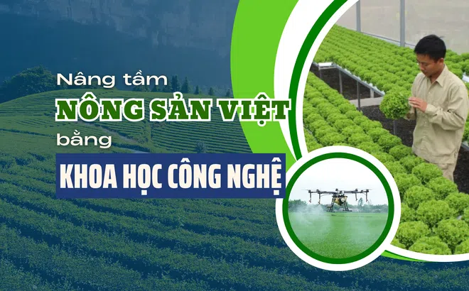 Nâng tầm nông sản Việt bằng khoa học công nghệ