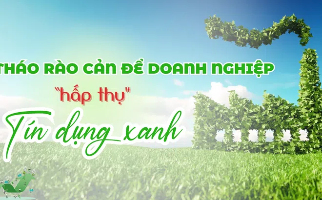 Tháo rào cản để doanh nghiệp “hấp thụ” tín dụng xanh