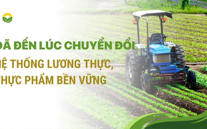 Đã đến lúc chuyển đổi hệ thống lương thực, thực phẩm bền vững