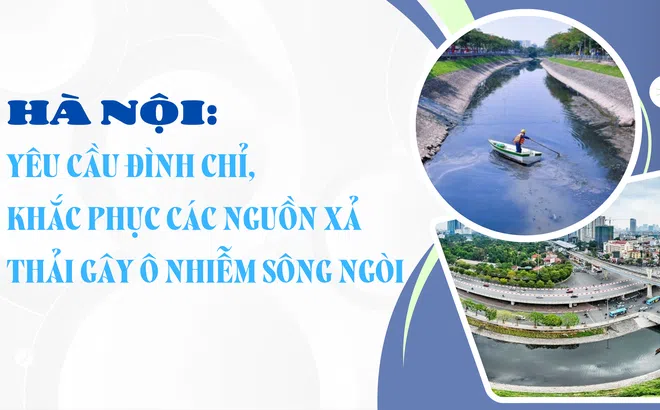 Hà Nội: Yêu cầu đình chỉ, khắc phục các nguồn xả thải gây ô nhiễm sông ngòi