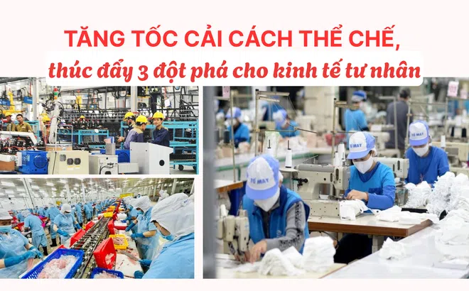 Tăng tốc cải cách thể chế, thúc đẩy ba đột phá cho kinh tế tư nhân