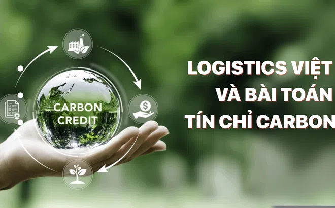 Logistics Việt và bài toán tín chỉ carbon