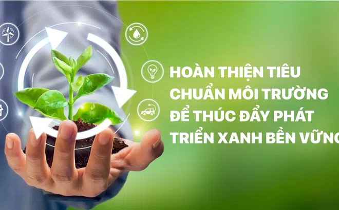 Hoàn thiện tiêu chuẩn môi trường để thúc đẩy phát triển xanh bền vững