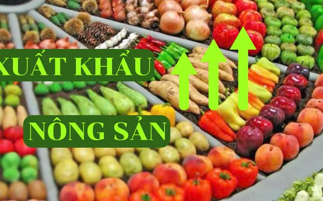Xuất khẩu nông sản tăng trưởng mạnh mẽ