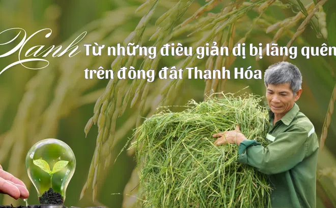 Xanh từ những điều giản dị bị lãng quên trên đồng đất Thanh Hóa – Bài 4: Xanh phải từ gốc, không chỉ riêng lá
