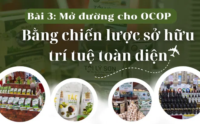 [Emagazine] Mở đường cho OCOP bằng chiến lược sở hữu trí tuệ toàn diện (Bài 3)