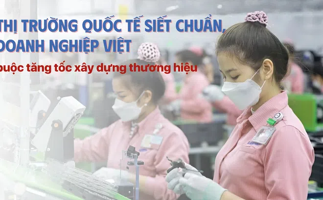 Thị trường quốc tế siết chuẩn, doanh nghiệp Việt buộc tăng tốc xây dựng thương hiệu
