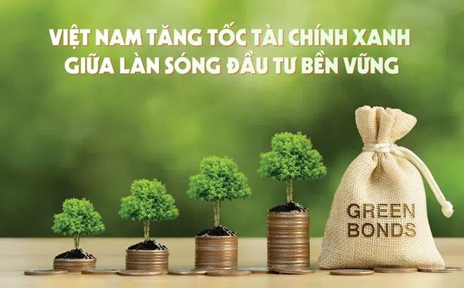 Việt Nam tăng tốc tài chính xanh giữa làn sóng đầu tư bền vững