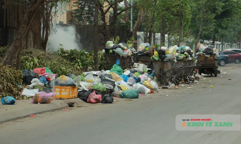 Thanh Hóa: Rác thải bủa vây phố xá, dân nín thở chờ nhà máy xử lý